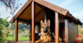 Menachery Kennels Laloor Pet Shop in Aranattukara, Thrissur, Kerala