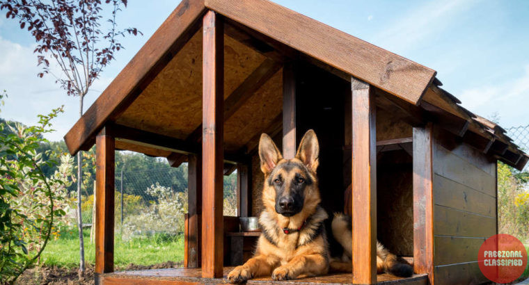 Menachery Kennels Laloor Pet Shop in Aranattukara, Thrissur, Kerala