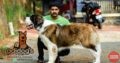 Adidog’s The Complete Pet Shop in Kunnamkulam, Thrissur, Kerala