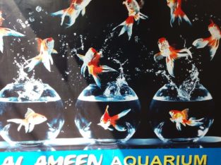 Al Ameen Aquarium Pet Shop in Varkala, Thiruvananthapuram, Kerala