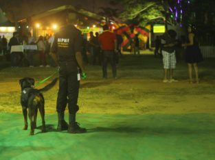 Alpha8 Dog Training AndK9 Services Pet Shop in Kodakar Thrissur Kerala
