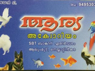 Arya Aquarium Pet Shop in Neyyattinkara, Thiruvananthapuram, Kerala