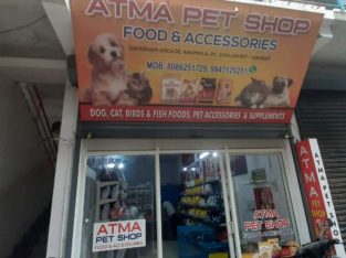 Atma Pet Shop Pet Shop in Chalakudy, Thrissur, Kerala