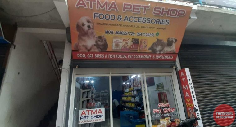 Atma Pet Shop Pet Shop in Chalakudy, Thrissur, Kerala