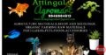 Attingal Agromart Pet Shop in Attingal, Thiruvananthapuram, Kerala
