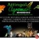 Attingal Agromart Pet Shop in Attingal, Thiruvananthapuram, Kerala