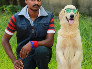 Enforce K 9 Training School Pet Shop in Karamana, Trivandrum, Kerala