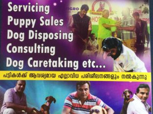 G R Dogs Training and Hostel Service Ooruttambalam, Trivandrum, Kerala