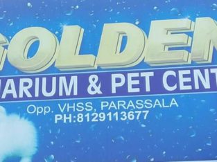 Golden Aquarium, Pet Center Pet Shop in Parassala, Trivandrum, Kerala