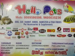 Hello Pets Pet Shop in Chalakudi, Thrissur, Kerala