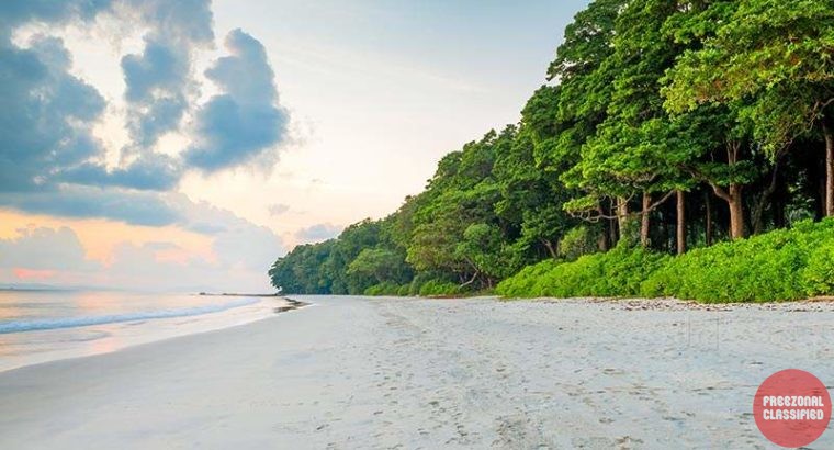 Kiron Enterprise in Dharmatala, Kolkata, West Bengal