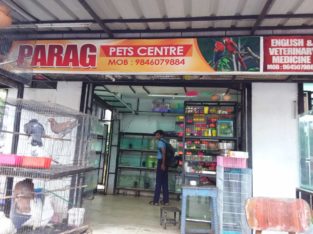 Parag Pets Centre Pet Shop in Poojapura, Thiruvananthapuram, Kerala