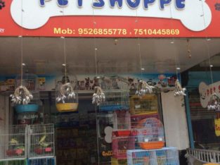 Pet Shoppe Pet Shop in Kurkancheri, Thrissur, Kerala