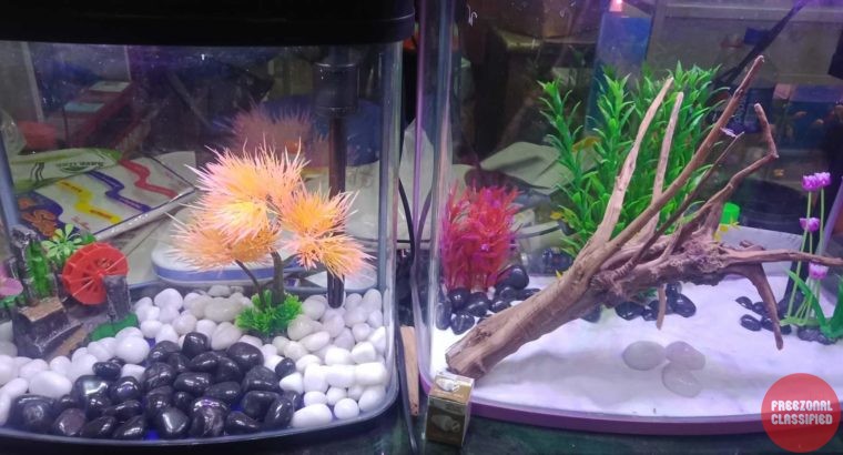 Pet World Pet Shop in Kuttur, Thrissur, Kerala