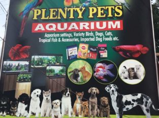 Plenty Pets Aquarium Pet Shop in Kowdiar, Thiruvananthapuram, Kerala