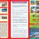 Sai Special Travel Agent in Dharmatala, Kolkata