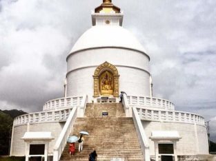 Mydelighttrip Pvt Ltd in Dharmatala, Kolkata, West Bengal
