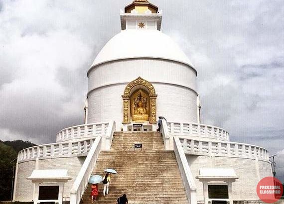 Mydelighttrip Pvt Ltd in Dharmatala, Kolkata, West Bengal