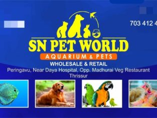 SN Pet World Pet Shop in Peringavu, Thrissur, Kerala
