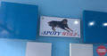 Spoty Wolf Kennels Pet Shop in Punkunnam, Thrissur, Kerala