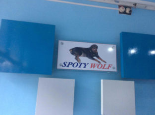 Spoty Wolf Kennels Pet Shop in Punkunnam, Thrissur, Kerala