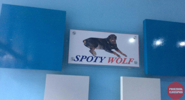 Spoty Wolf Kennels Pet Shop in Punkunnam, Thrissur, Kerala