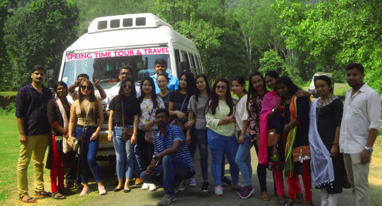 Spring Time Tours, Travel in Dharmatala, Kolkata, West Bengal