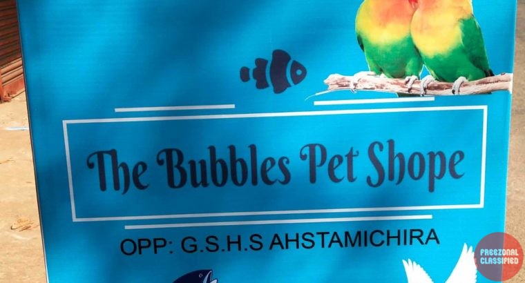The Bubbles Pet Shope Astamichira Pet Shop Annallur, Thrissur, Kerala