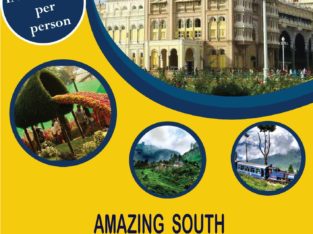 Travel Host Online in Dharmatala, Kolkata, West Bengal