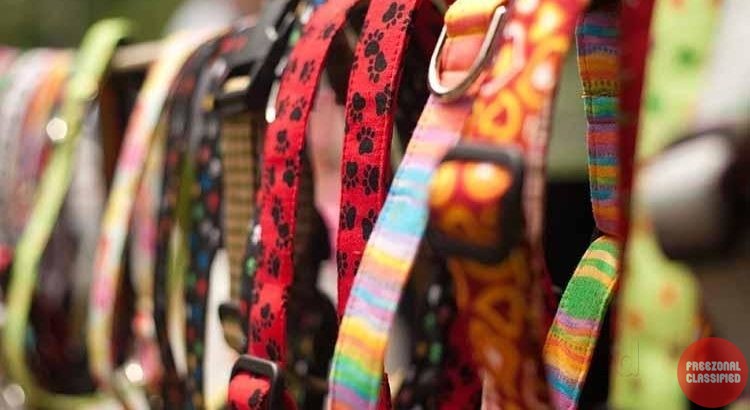 Wolf Park Pet Shop in Punkunnu, Thrissur, Kerala